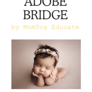 Adobe Bridge PDF directions